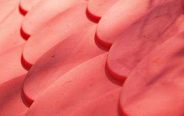 Saveock plastic roof costs