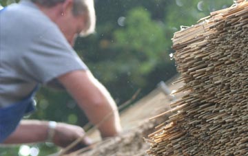 professional Saveock thatchers