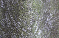 Saveock fibreglass roof work